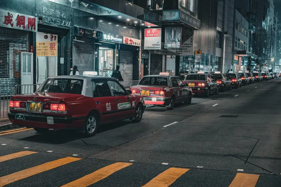 香港寵物跨境 第二張內文圖